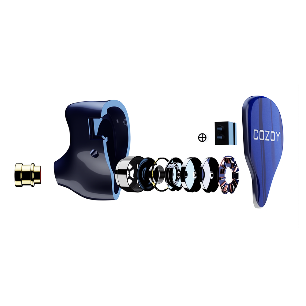 COZOY D1 IEM
