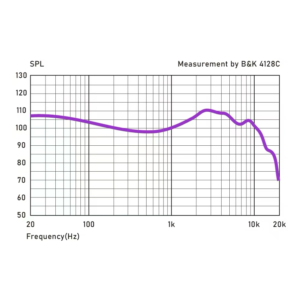 COZOY D1 IEM