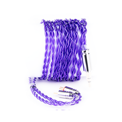 COZOY D1 IEM