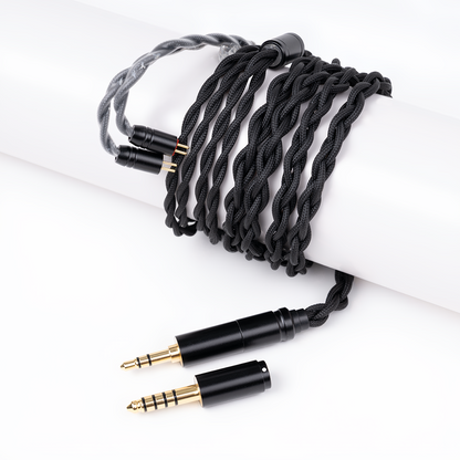 Cozoy D2 IEM